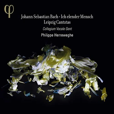 Afbeelding van Collegium Vocale Gent, Philippe Herreweghe Leipzig Cantatas Vol. 2 (CD)