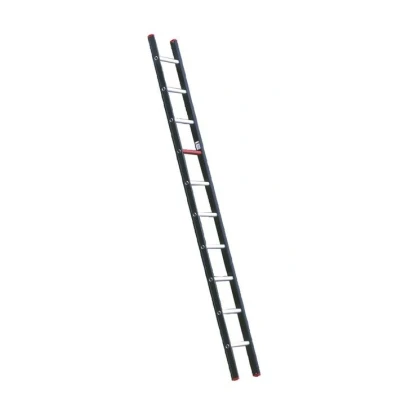 Afbeelding van Altrex 1 delige ladder Nevada 10 sporten