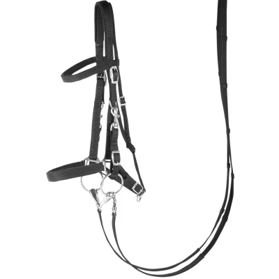 Image de Harry&#039;s Horse Licol/Bridon Noir Cob