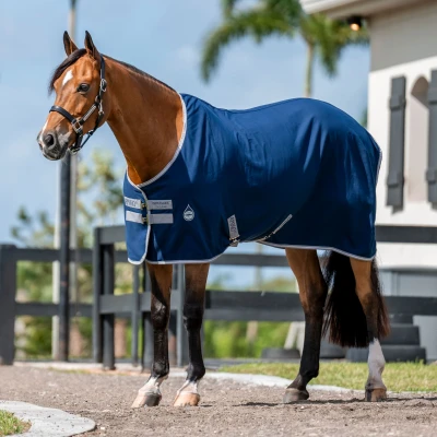 Image de Amigo Stable Sheet