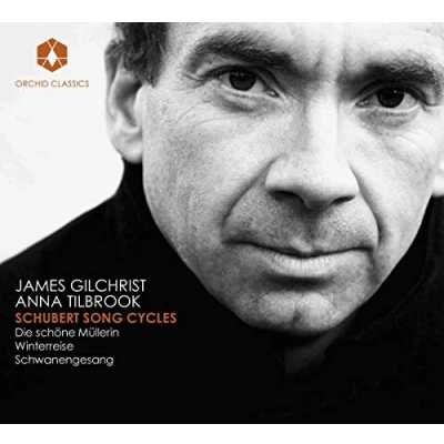 Afbeelding van James Gilchrist &amp; Anna Tilbrook Schubert: Song Cycles (3 CD)
