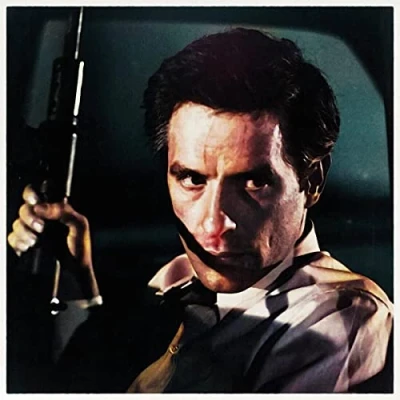 Afbeelding van Ennio Morricone Gli Intoccabili (2 LPs)