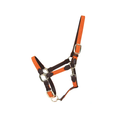 Image de Kentucky Licol Plaited Nylon Orange cob
