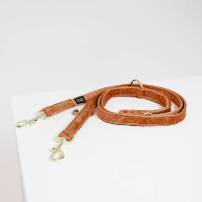 Image de Kentucky Laisse pour Chien velours Orange 2m S