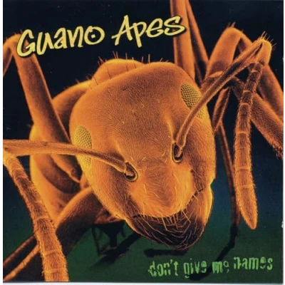 Afbeelding van Guano Apes Don&#039;t Give Me Names (LP)