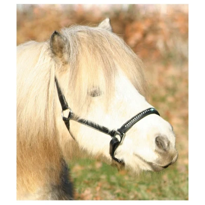 Afbeelding van Waldhausen Lerenhalster Diamond Zwart Paardenhalster Pony