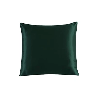 Afbeelding van Townssilk Dubbelzijdige kussensloop van 100% pure moerbeizijde 19 mm, gezond voor haar en huid, 1 stuk, 50 x cm, met verborgen ritssluiting, draaddichtheid 600 Emerald