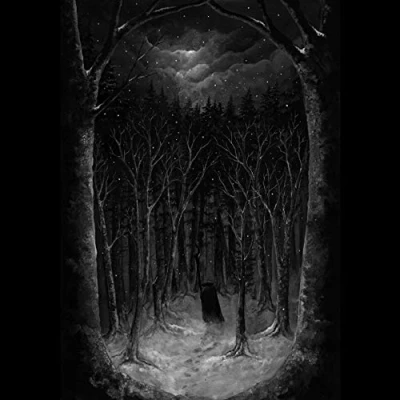 Afbeelding van Im Wald