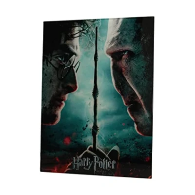 Image de Harry POTTER Impression en Verre / Voldemort 30X40 Cm