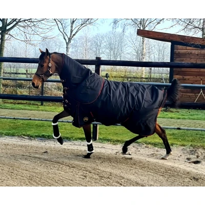 Image de HB Ruitersport Couverture d&#039;Extérieur Model Kentucky avec Couvre cou Amovible 300g Noir 195