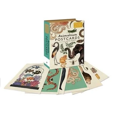 Image de Animalium Postcard Box