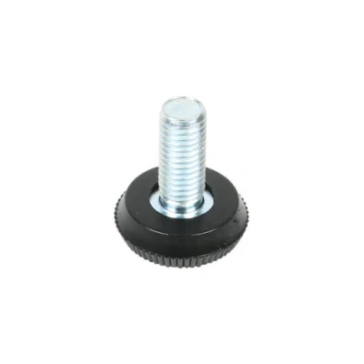 Afbeelding van Metalen stelpoot M10 x 30 mm (10 stuks)