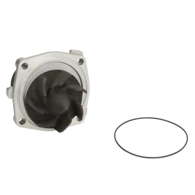 Afbeelding van HEPU P345 Waterpomp Met pakking Mechanisch JEEP: Cherokee II, Grand I
