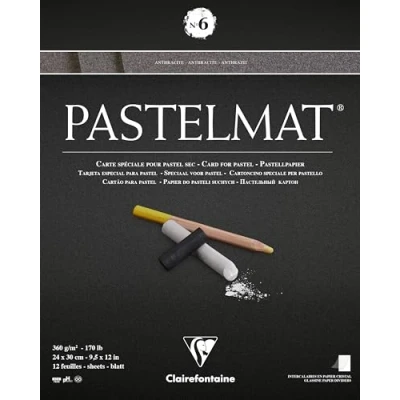 Afbeelding van Clairefontaine Pastelmat Nr 6 Antraciet 12 vel 360 grams 24 x 30 cm