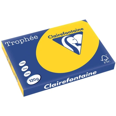Afbeelding van Clairefontaine Trophée Pastel, Gekleurd Papier, A3, 120 G, 250 Vel, Goudgeel Papier