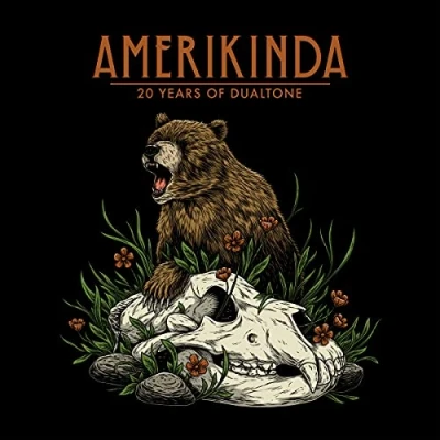 Afbeelding van V/A Amerikinda (2 LPs)