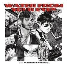 Afbeelding van Water From Your Eyes Everyone&#039;s Crushed (LP)