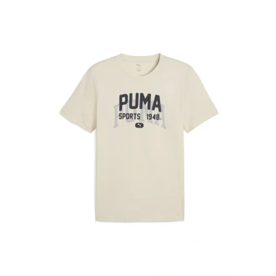 Afbeelding van Puma Graphic Varsity Tshirt print, Heren, Maat: Medium, Alpine snow