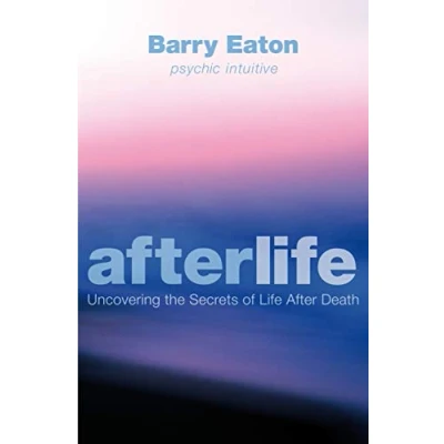 Afbeelding van Afterlife