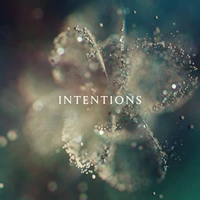 Afbeelding van Anna Intentions (CD)