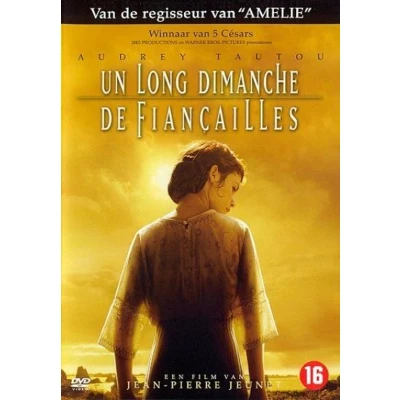Afbeelding van Long Dimanche De Fiancailles (DVD)