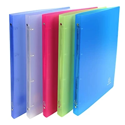 Afbeelding van Exacompta 51169E 20x CLASS. PP A4 CHROMA