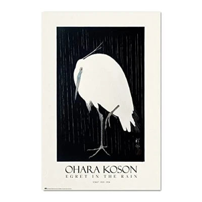 Afbeelding van Poster Egret In The Rain 61x91,5cm