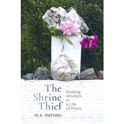 Afbeelding van The Shrine Thief