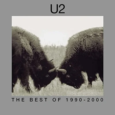 Afbeelding van U2 Best of 1990 2000 (2 LPs)