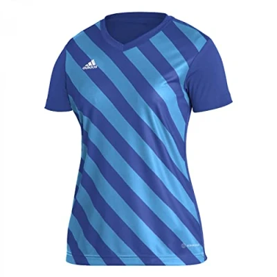 Afbeelding van adidas Performance Entrada Sport Tshirt, Dames, Maat: XS, Team royal blue/app sky rush