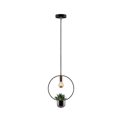 Afbeelding van Paulmann Tasja 797.48 hanglamp met plant Zwart, Koper E27 1 lamps