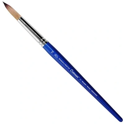 Afbeelding van Winsor &amp; Newton Cotman Aquarelkwast serie 111, rond, korte handgreep, nr. 12