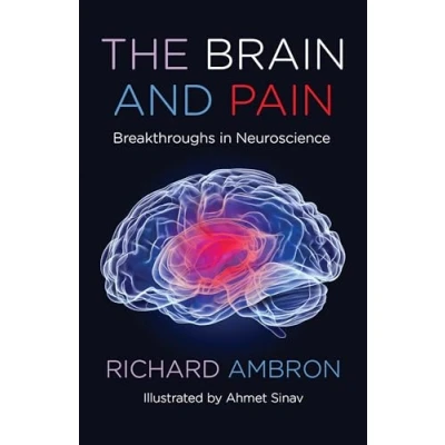 Afbeelding van The Brain and Pain