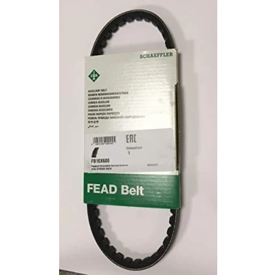 Afbeelding van Ina V riem FB 10X600