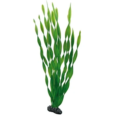 Afbeelding van Hobby Plant Vallisneria 46CM