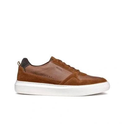 Afbeelding van Geox U Deiven Sneakers laag, Heren, Maat: 42, Brown cotto Leer en textiel