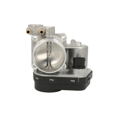 Afbeelding van Gasklephuis Continental/VDO 408 238 127 002Z