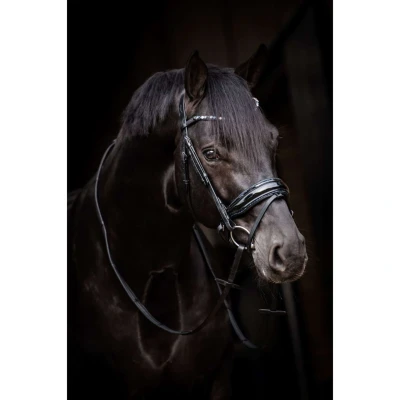 Afbeelding van HB Showtime Hoofdstel Evalira Blauw/Zwart Pony