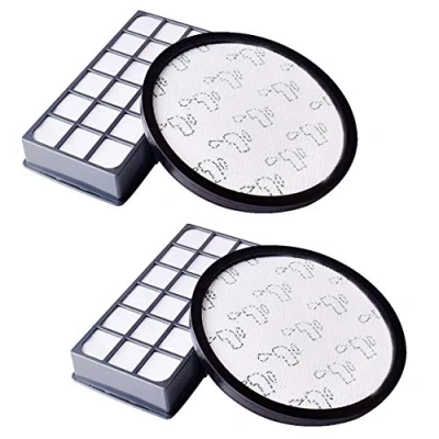 Afbeelding van Vervangend HEPA filter voor stofzuiger X Trem Power Cyclonic ZR006001 (RO69xx) (2 stuks)