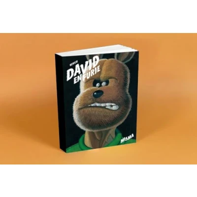 Afbeelding van DAVID EN FURIE