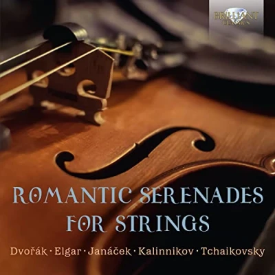 Afbeelding van Various Artists Romantic Serenades For Strings (CD)