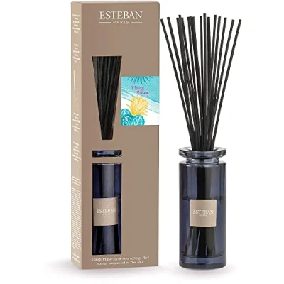 Afbeelding van Esteban Classic Ylang Geurstokjes Initial 75ml