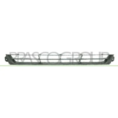 Afbeelding van PRASCO ST0292120 Bumper Grill Voor SEAT: Ibiza 2