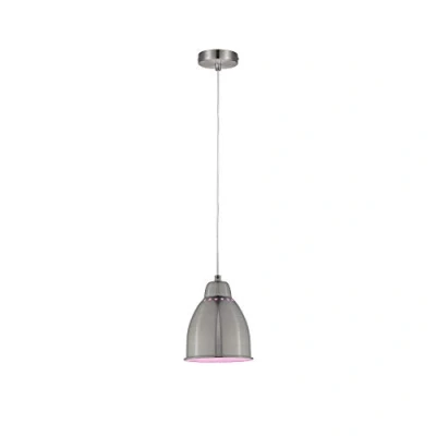 Afbeelding van Paulmann 79765 Neordic Hanglamp E27 IJzer (geborsteld)