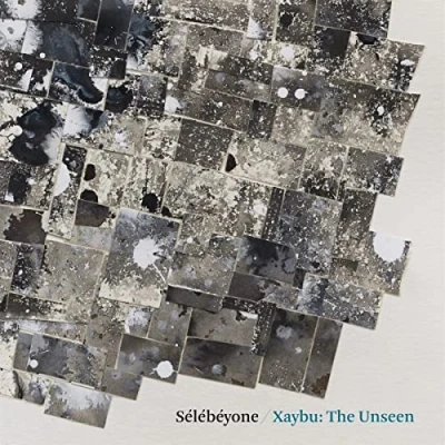 Afbeelding van Steve Lehman Xaybu: the Unseen (LP)