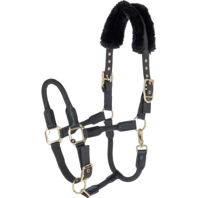 Afbeelding van Covalliero Licol Anniversary Graphite 2025, taille : poney
