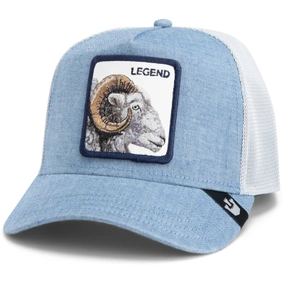 Afbeelding van Goorin Bros Pet, Heren, Maat: One Size, Blue