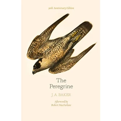 Afbeelding van Peregrine