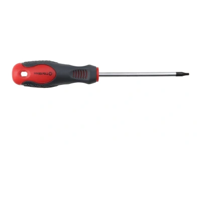 Afbeelding van Wovar Torx Schroevendraaier TX10 x 100 mm Per Stuk