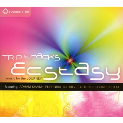 Afbeelding van Various Artists Trip Tracks: Ecstasy (CD)